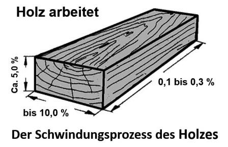 Der Schwindungsprozess des Holzes